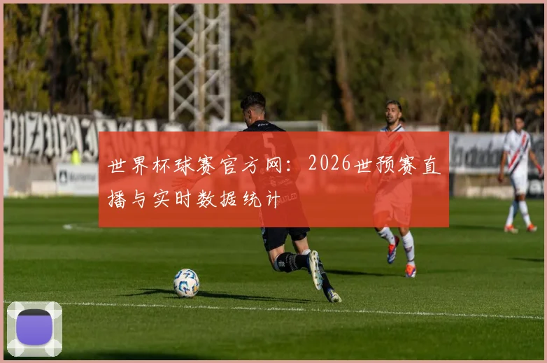 世界杯球赛官方网：2026世预赛直播与实时数据统计
