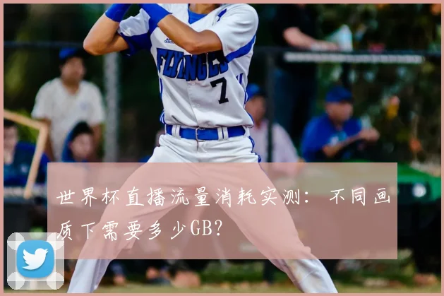 世界杯直播流量消耗实测:不同画质下需要多少GB?